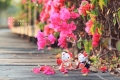 情人節Valentines-Day
