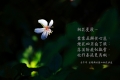 7136695867_e8b337dbb1_b