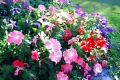 f6bfee2c97481bb2a67aaa0bb895ca31