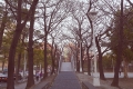 tranquil-city-view